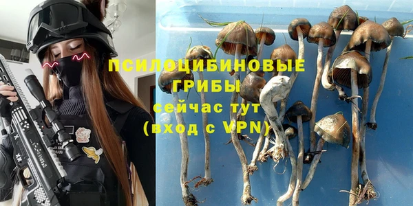 apvp Переславль-Залесский