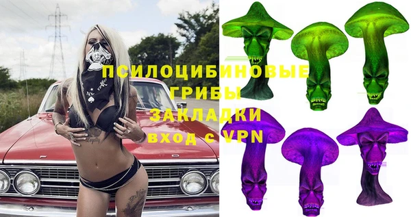 apvp Переславль-Залесский