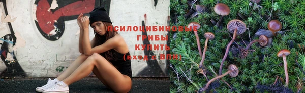 герыч Пестово