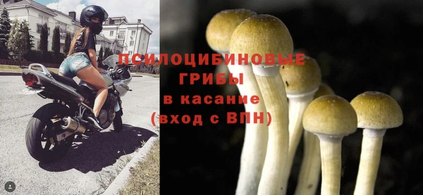 apvp Переславль-Залесский