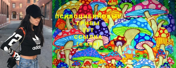 apvp Переславль-Залесский