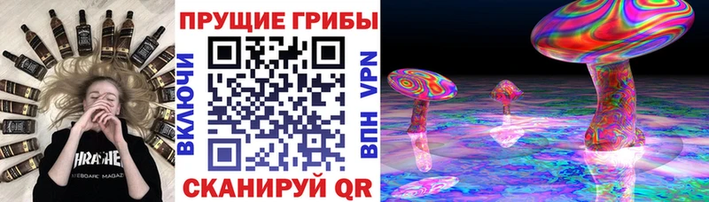 продажа наркотиков Зеленоградск Псилоцибиновые грибы мухоморы